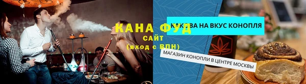 шишки Белокуриха