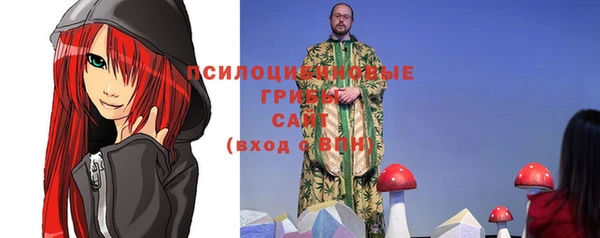 шишки Белокуриха