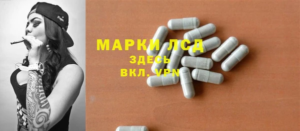 шишки Белокуриха