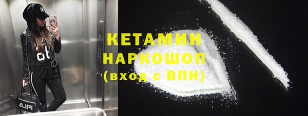 шишки Белокуриха