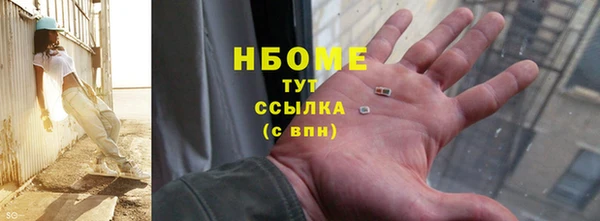 шишки Белокуриха