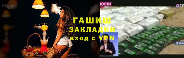 шишки Белокуриха