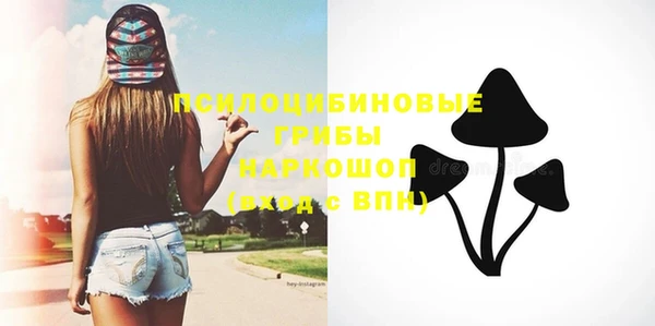 шишки Белокуриха