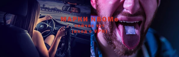шишки Белокуриха