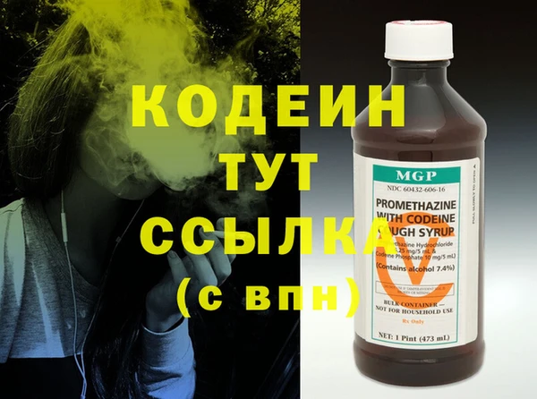 шишки Белокуриха