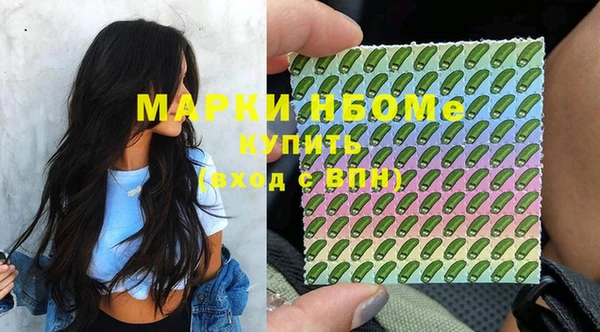 шишки Белокуриха